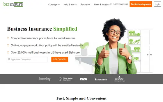 Bizinsure website preview