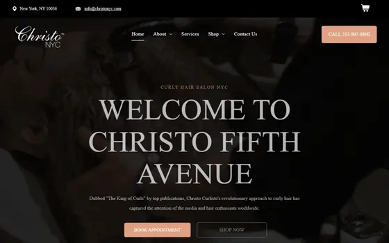 Christonyc website preview