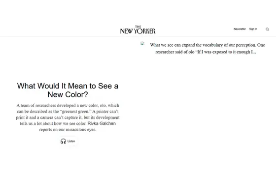 Newyorker website preview